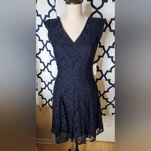 Navy Lace Dress From The Limited